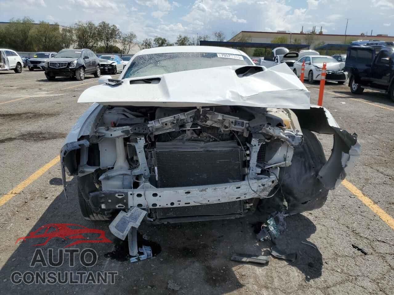 DODGE CHALLENGER 2019 - 2C3CDZAG9KH680081