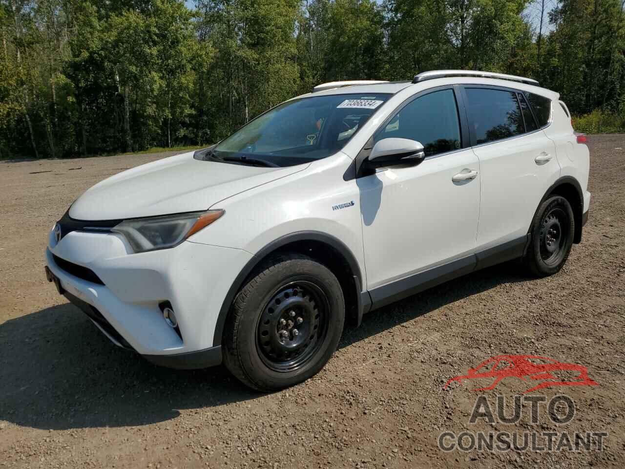 TOYOTA RAV4 2016 - JTMRJREVXGD007067