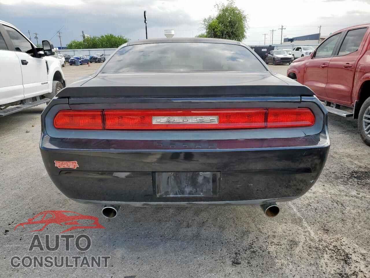 DODGE CHALLENGER 2010 - 2B3CJ4DV2AH102812