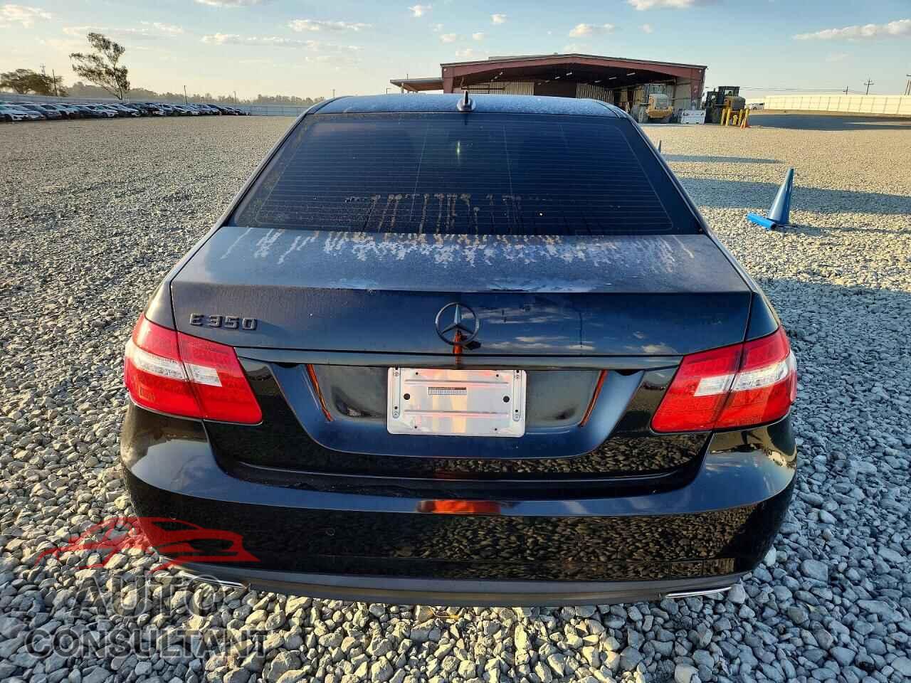 MERCEDES-BENZ E-CLASS 2010 - WDDHF5GB8AA021864