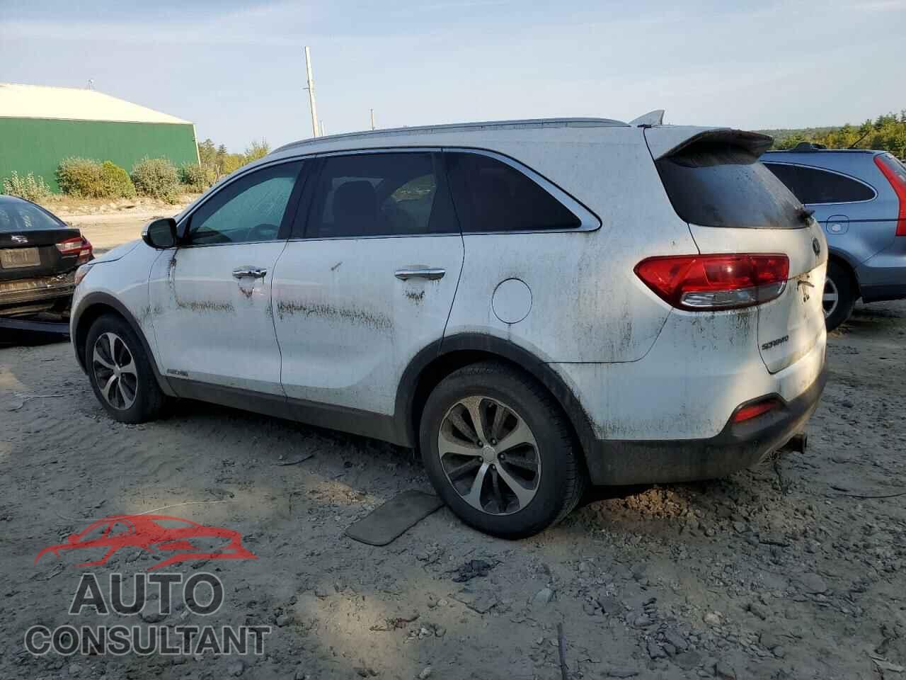 KIA SORENTO 2017 - 5XYPHDA52HG323755
