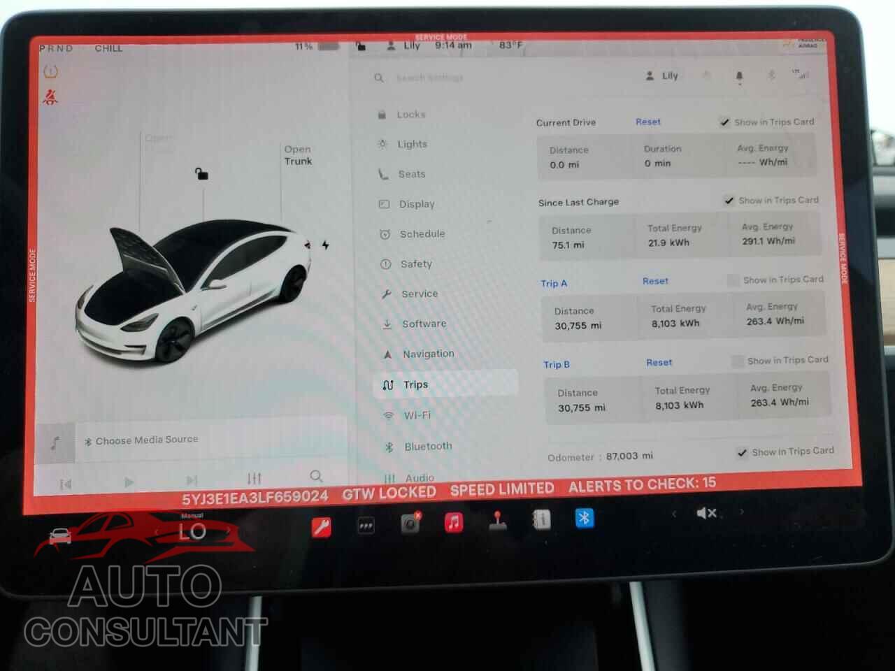 TESLA MODEL 3 2020 - 5YJ3E1EA3LF659024