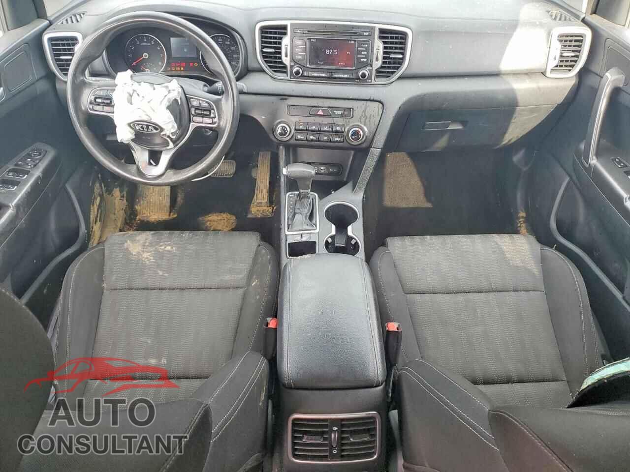 KIA SPORTAGE 2019 - KNDPM3AC8K7565216