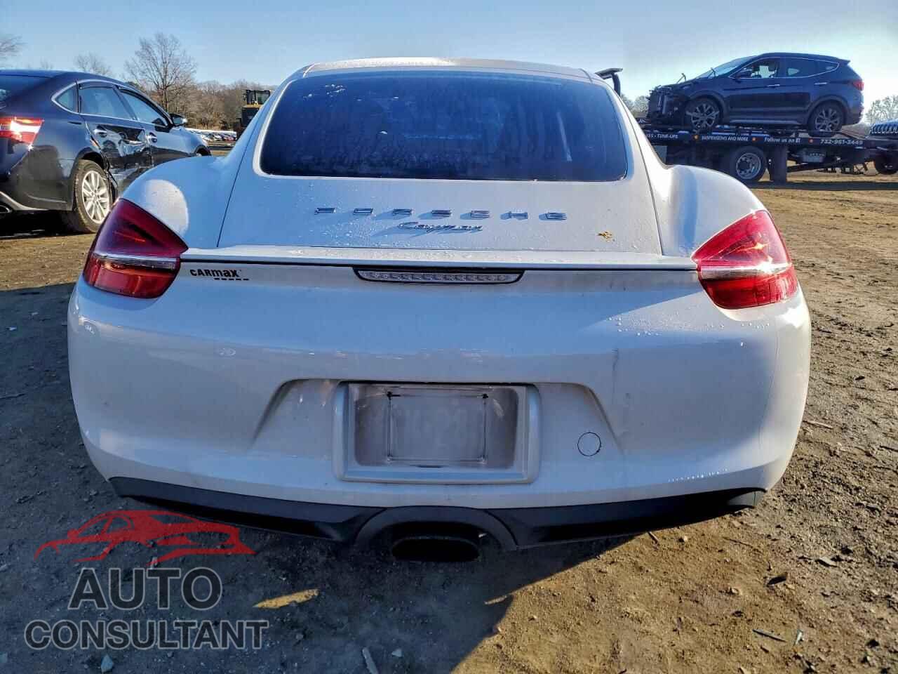 PORSCHE CAYMAN 2015 - WP0AA2A84FK164253