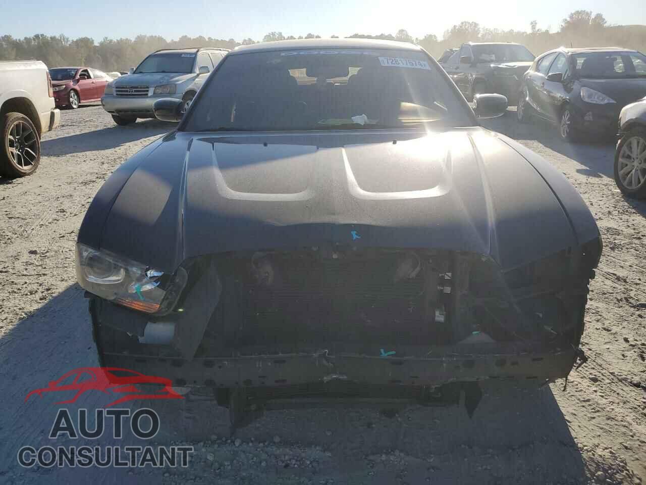 DODGE CHARGER 2014 - 2C3CDXHG1EH254254