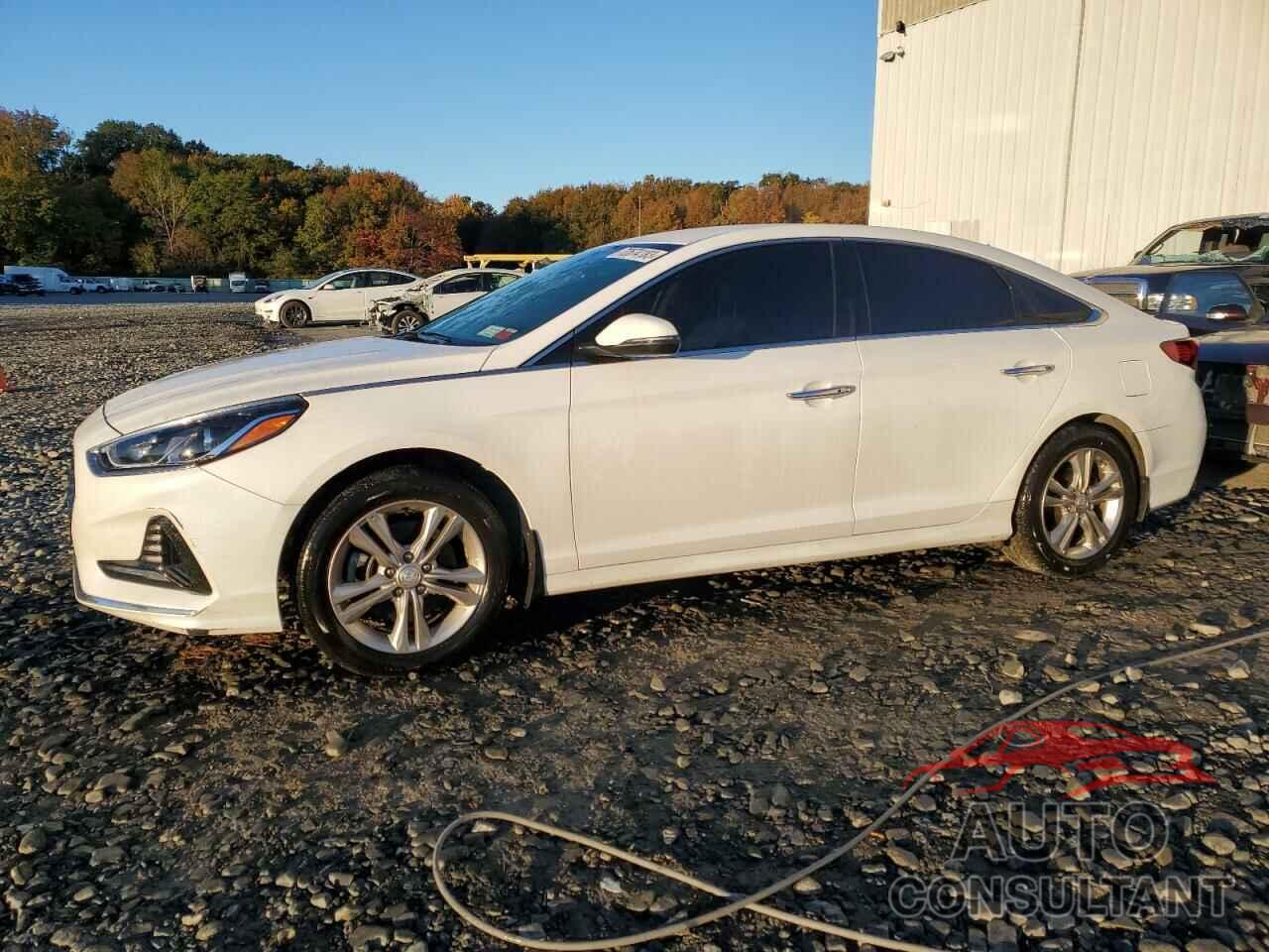 HYUNDAI SONATA 2018 - 5NPE34AF9JH691864