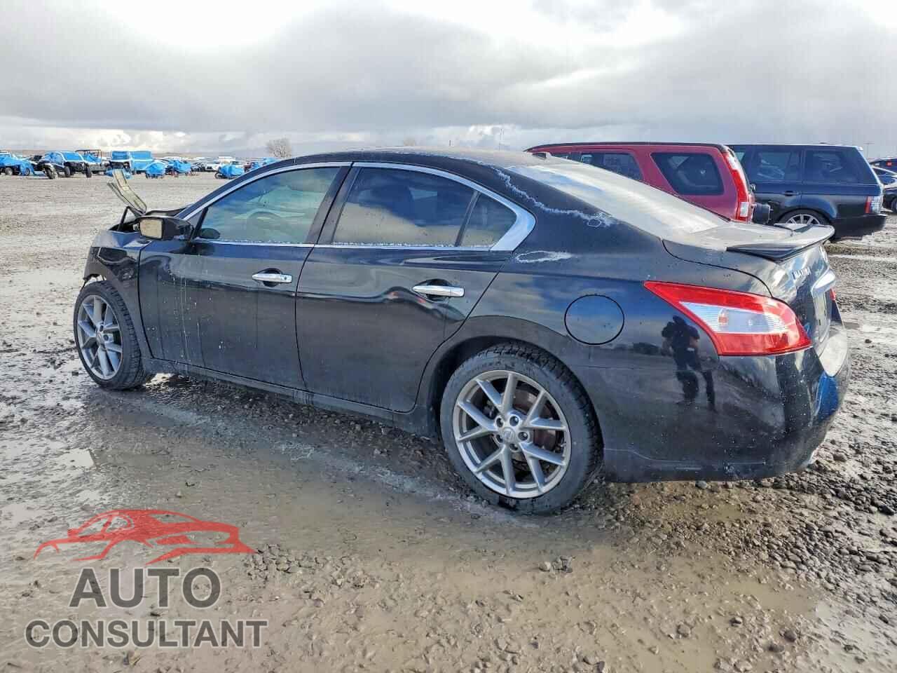 NISSAN MAXIMA 2011 - 1N4AA5AP7BC841850