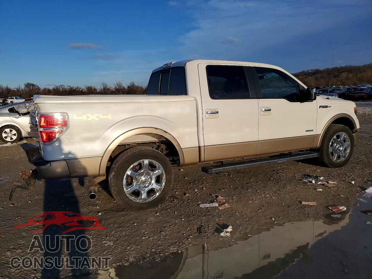 FORD F-150 2013 - 1FTFW1ET5DKE87420
