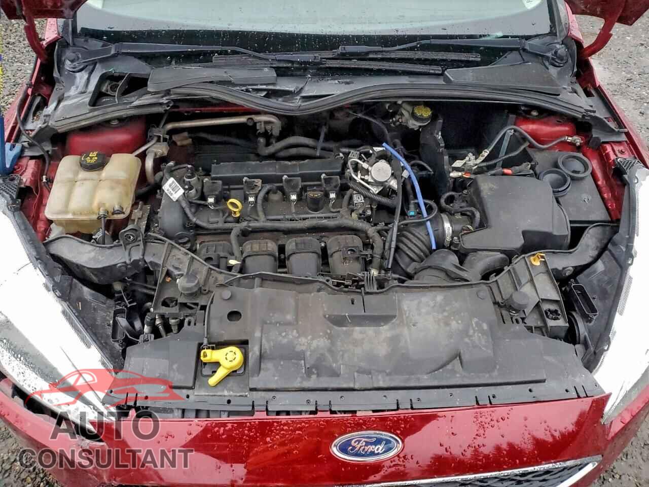 FORD FOCUS 2016 - 1FADP3F25GL351637