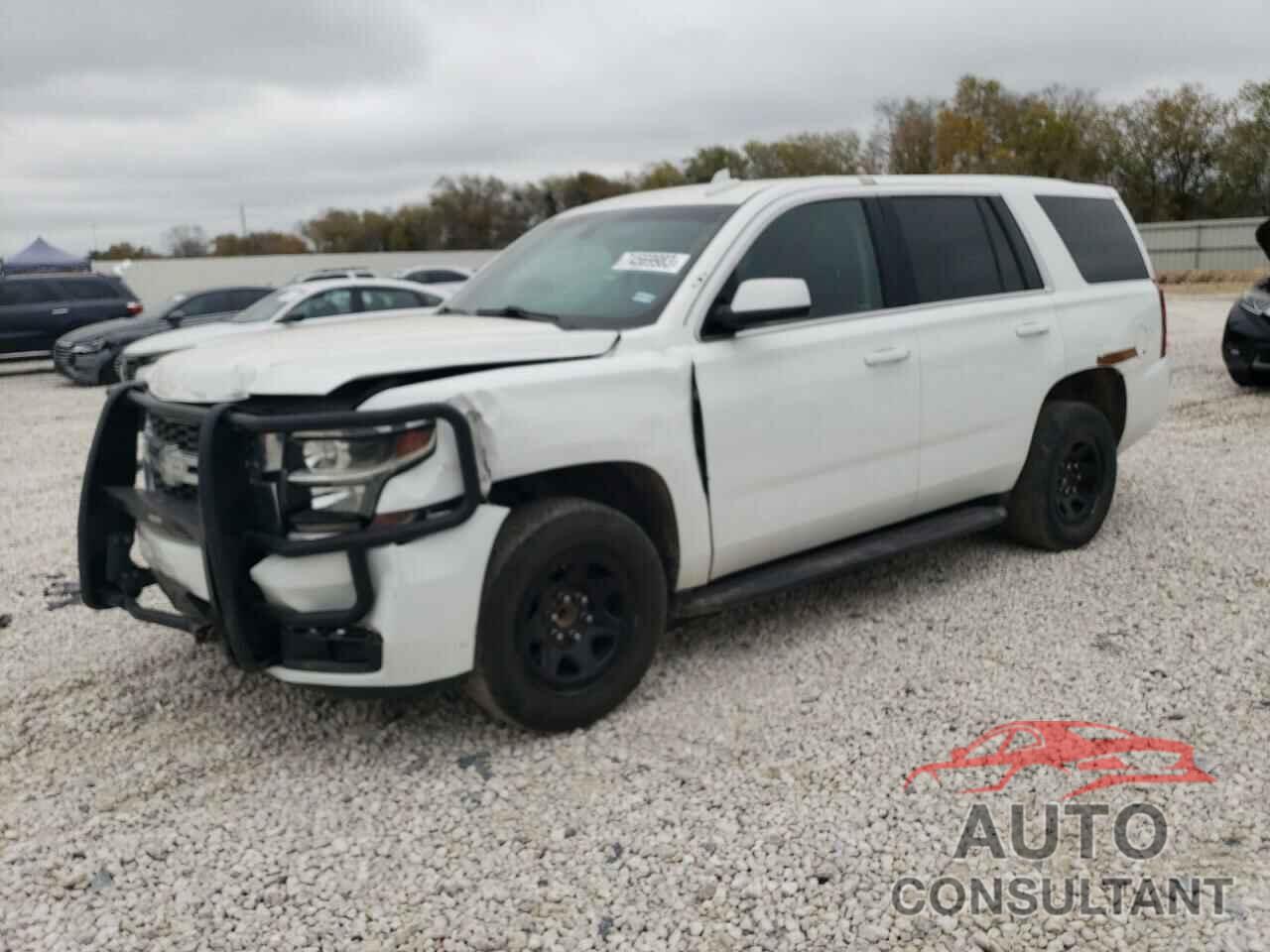 CHEVROLET TAHOE 2019 - 1GNLCDEC0KR294990