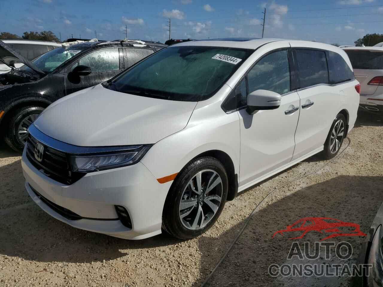 HONDA ODYSSEY 2024 - 5FNRL6H83RB035612