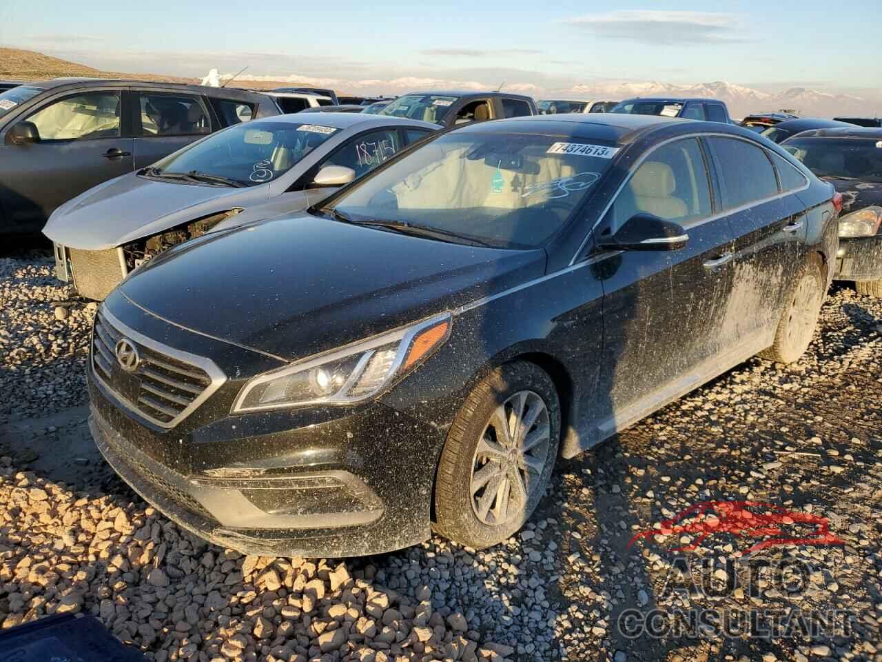 HYUNDAI SONATA 2016 - 5NPE24AF6HH472258