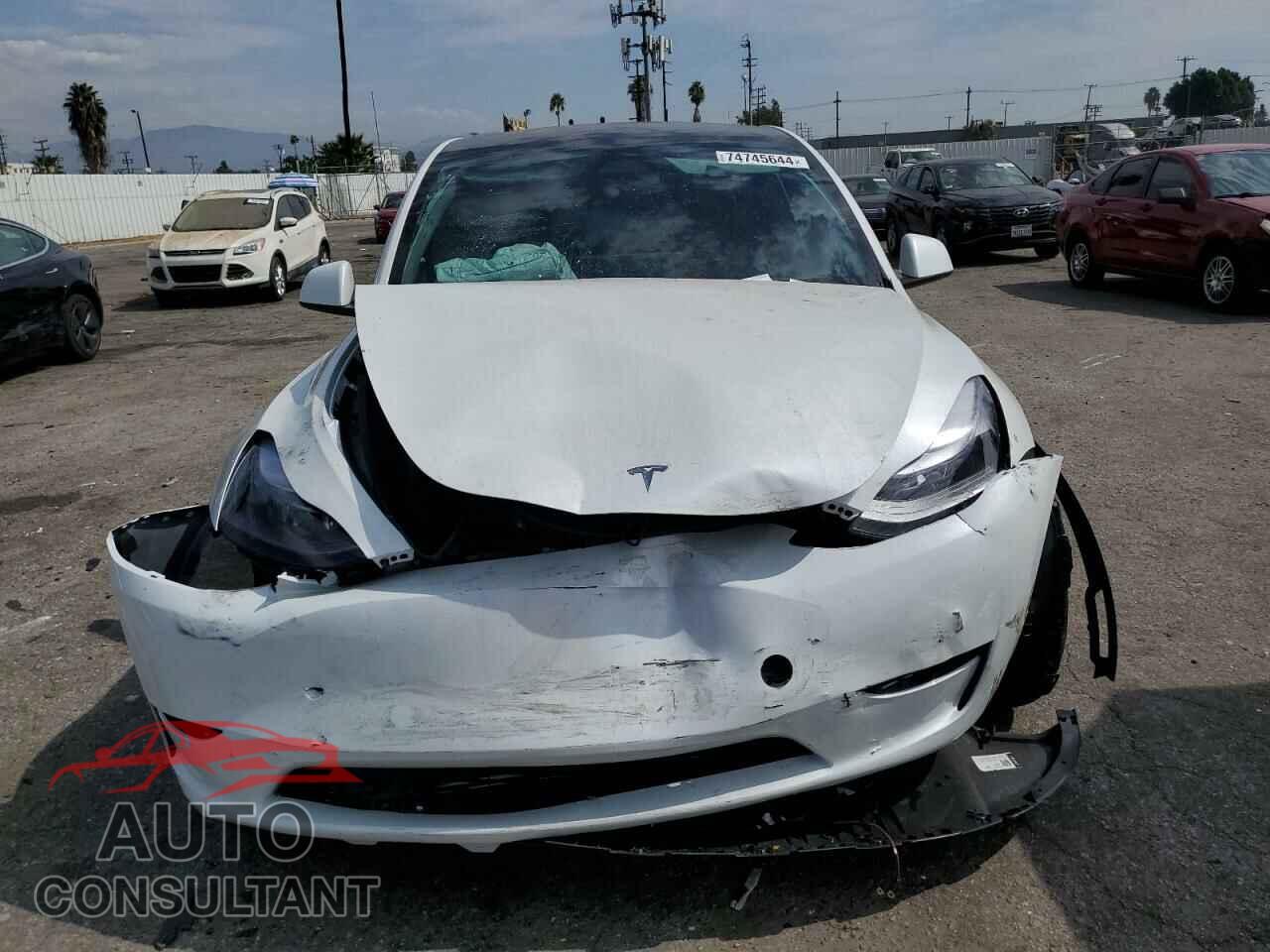 TESLA MODEL Y 2024 - 7SAYGDEE5RF131663