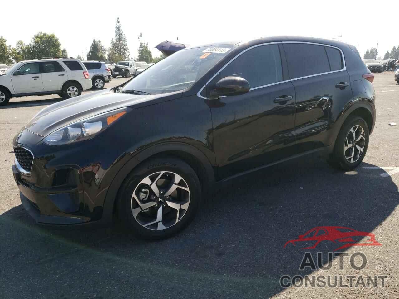 KIA SPORTAGE 2022 - KNDPM3AC8N7965135