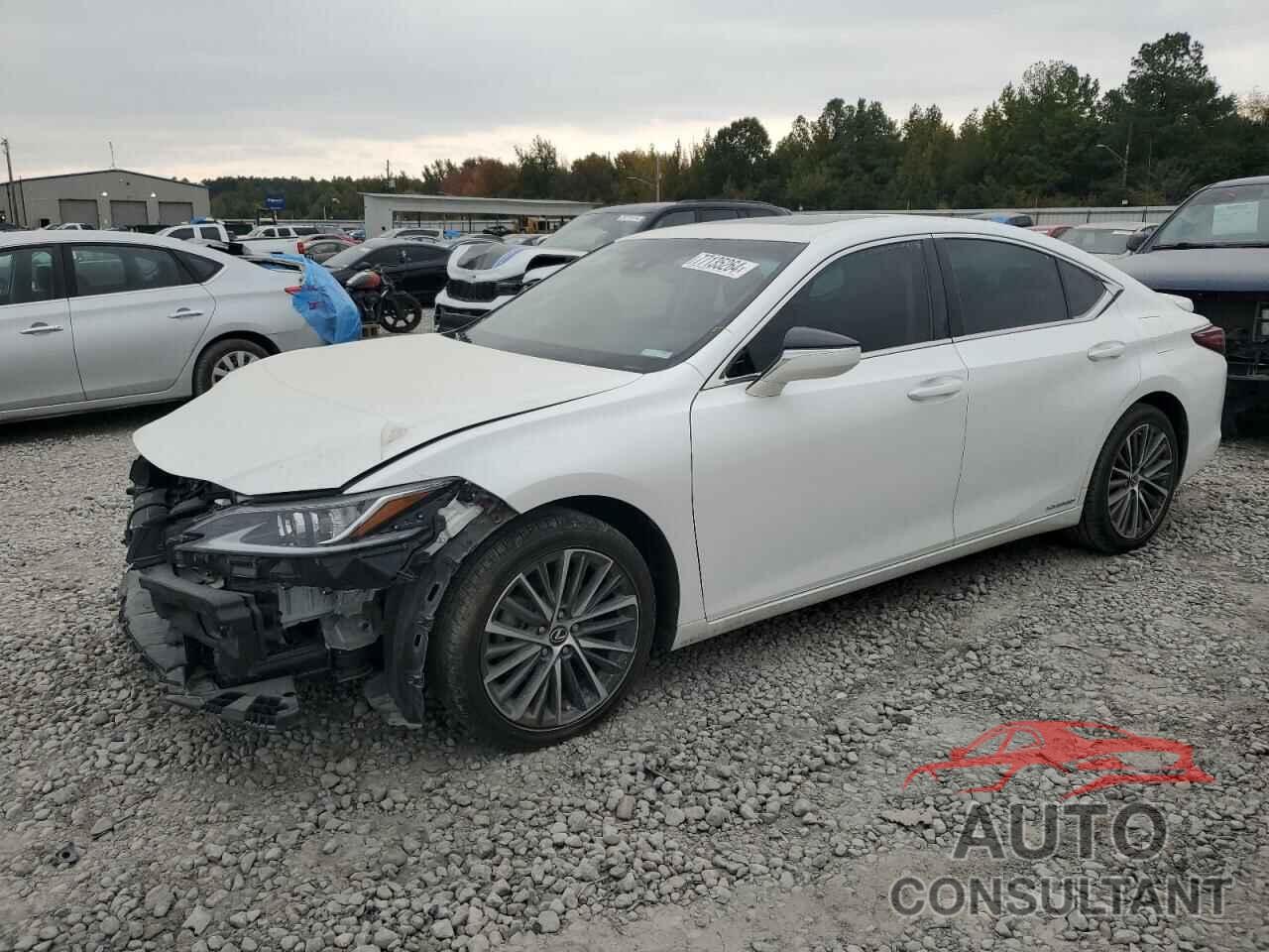 LEXUS ES300 2022 - 58ADA1C19NU025931