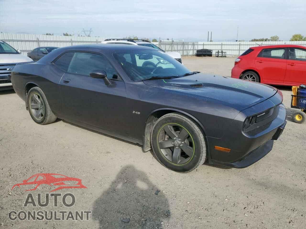DODGE CHALLENGER 2014 - 2C3CDYBT0EH257576