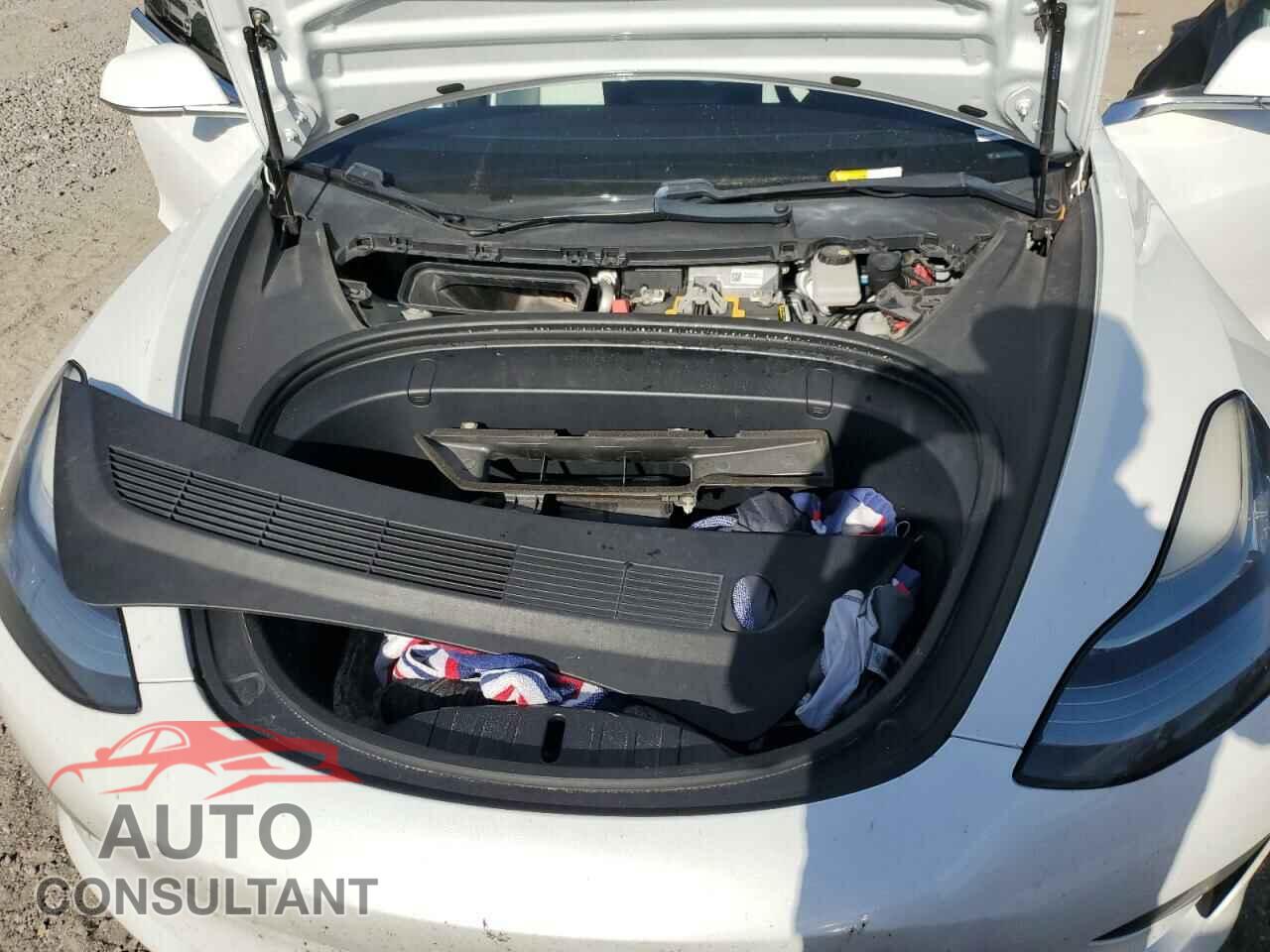 TESLA MODEL 3 2019 - 5YJ3E1EA1KF417797
