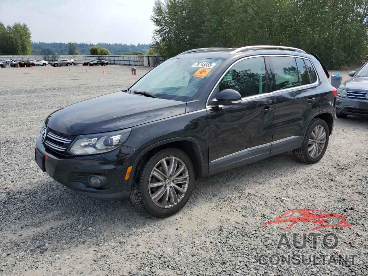 VOLKSWAGEN TIGUAN 2016 - WVGBV7AX1GW604156
