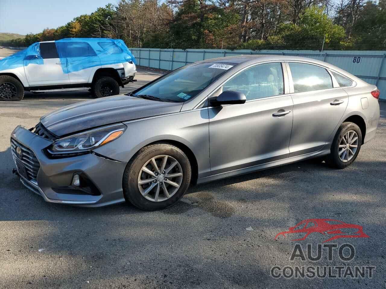 HYUNDAI SONATA 2019 - 5NPE24AF9KH765269