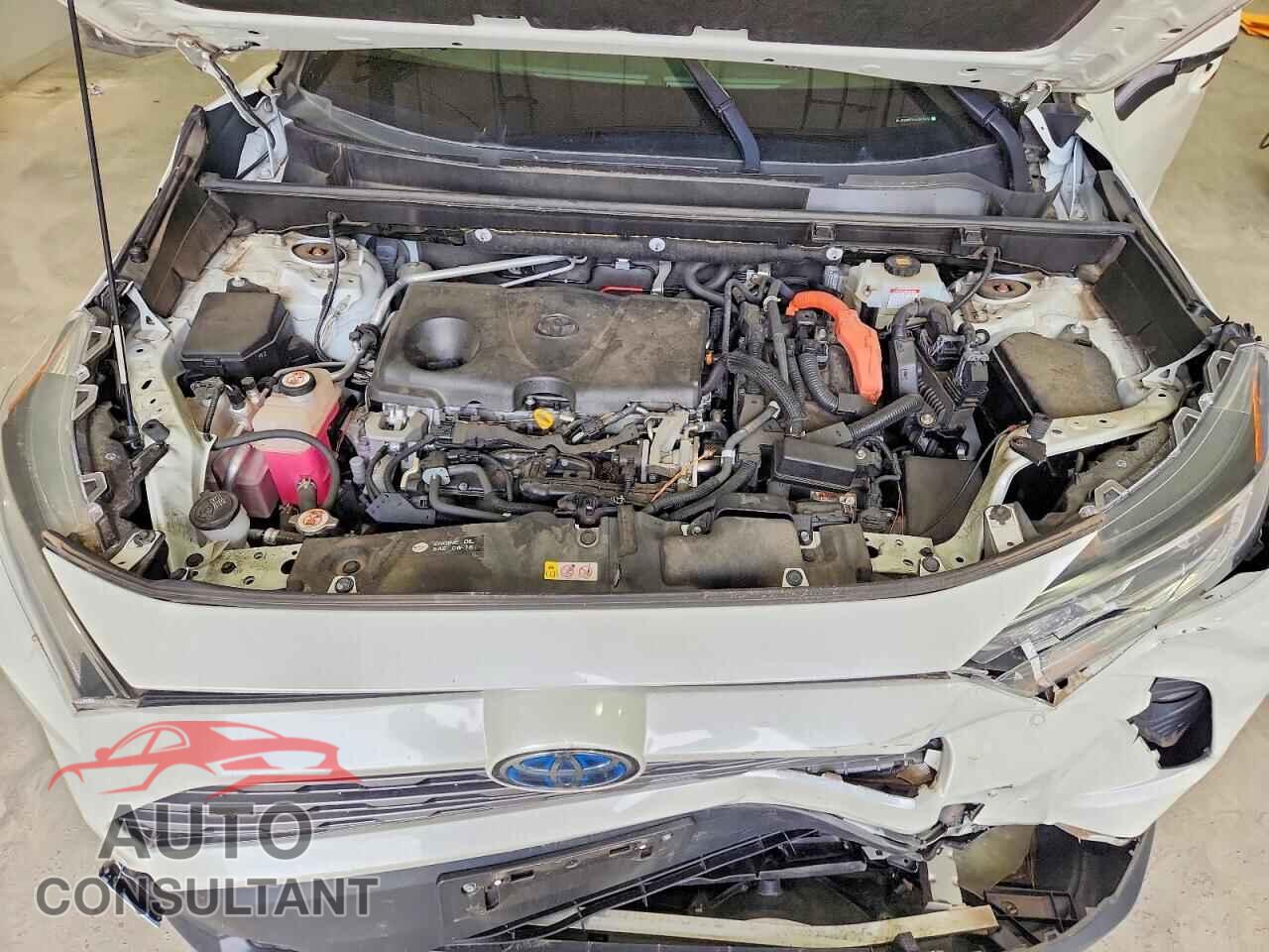 TOYOTA RAV4 2019 - JTMDWRFV1KJ013473