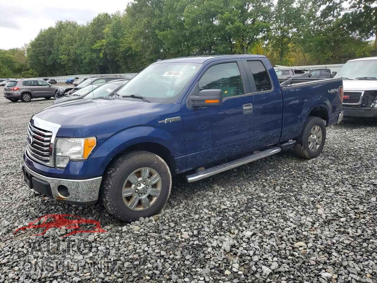 FORD F150 2011 - 1FTFX1EF3BFC33041