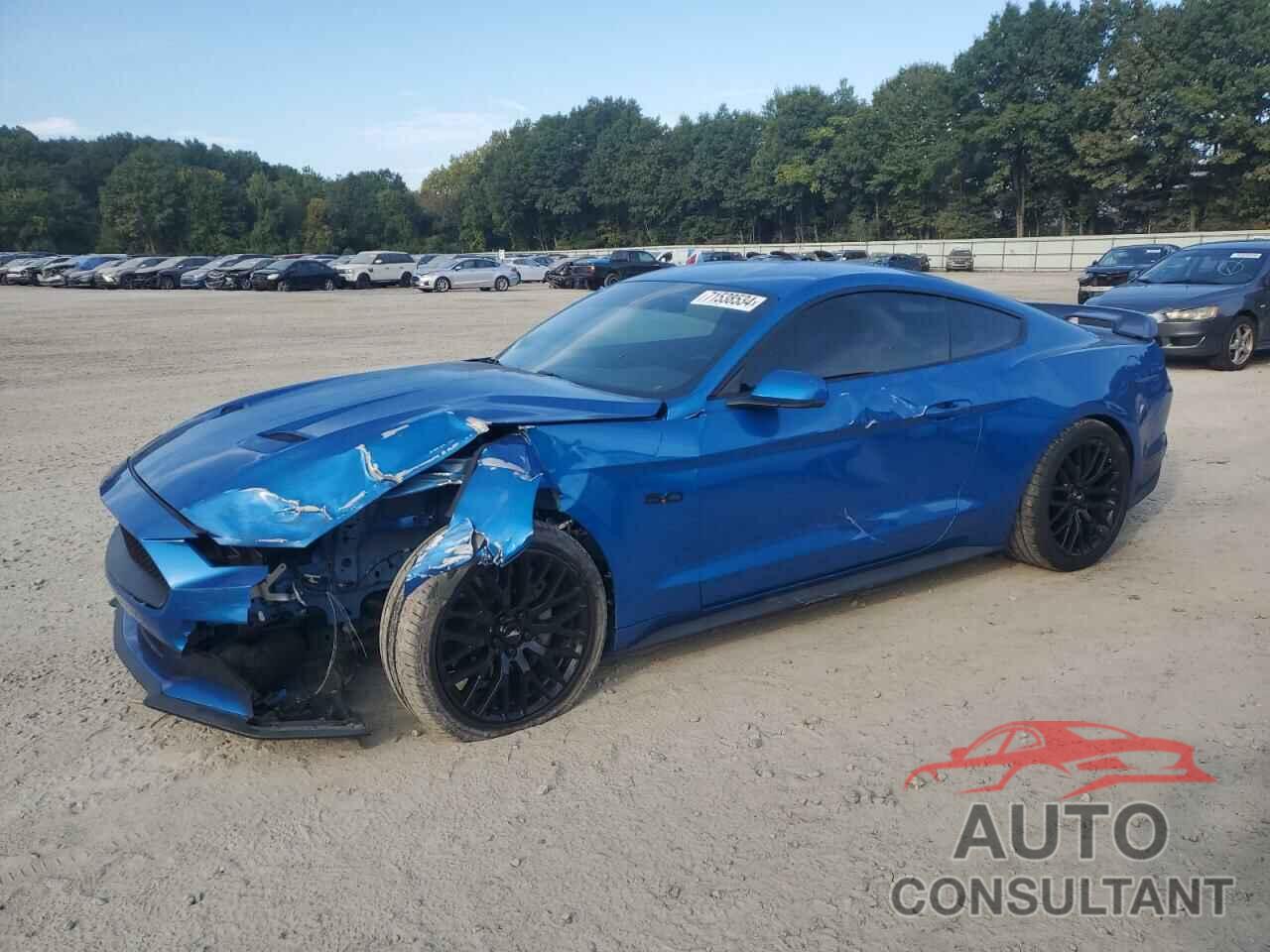 FORD MUSTANG 2019 - 1FA6P8CF7K5122144