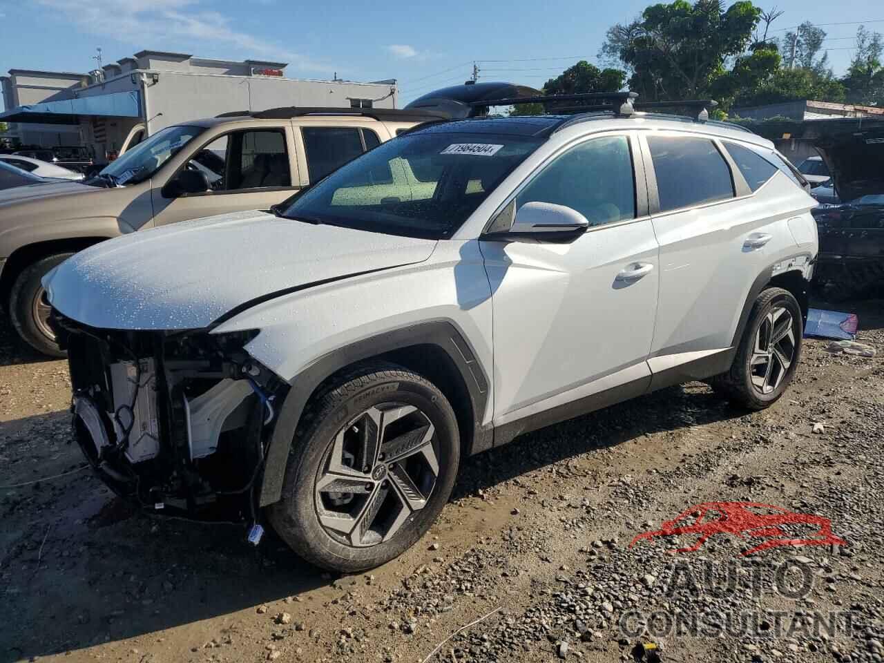 HYUNDAI TUCSON 2024 - KM8JCCD19RU226202