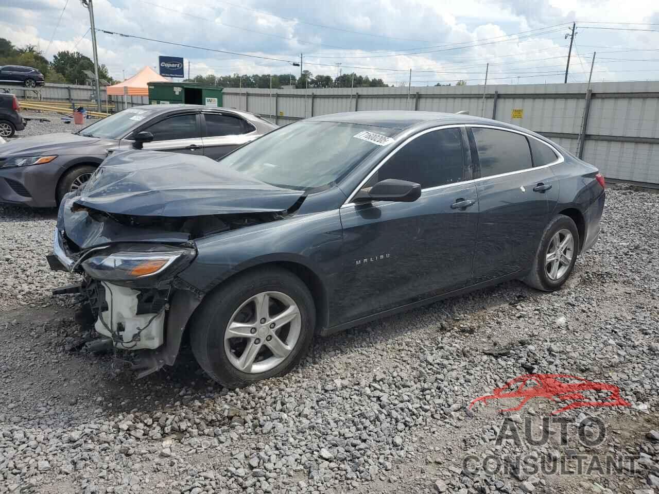 CHEVROLET MALIBU 2019 - 1G1ZB5ST8KF225457