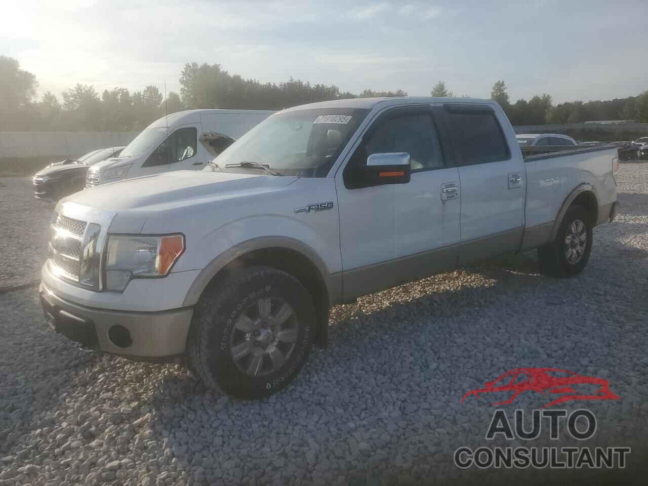 FORD F-150 2010 - 1FTFW1EVXAFA59204