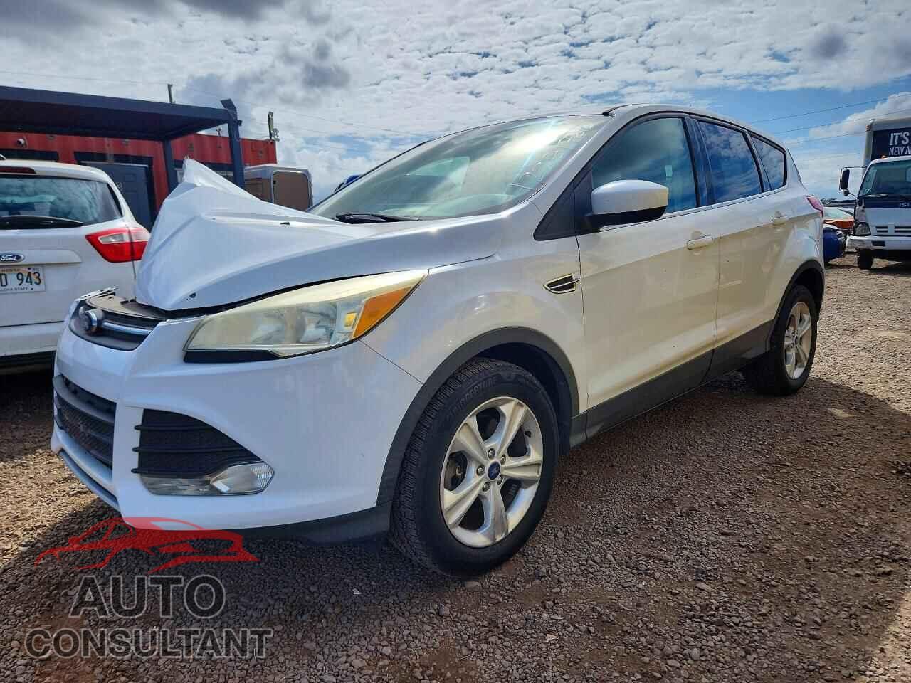 FORD ESCAPE 2014 - 1FMCU0G92EUB85346