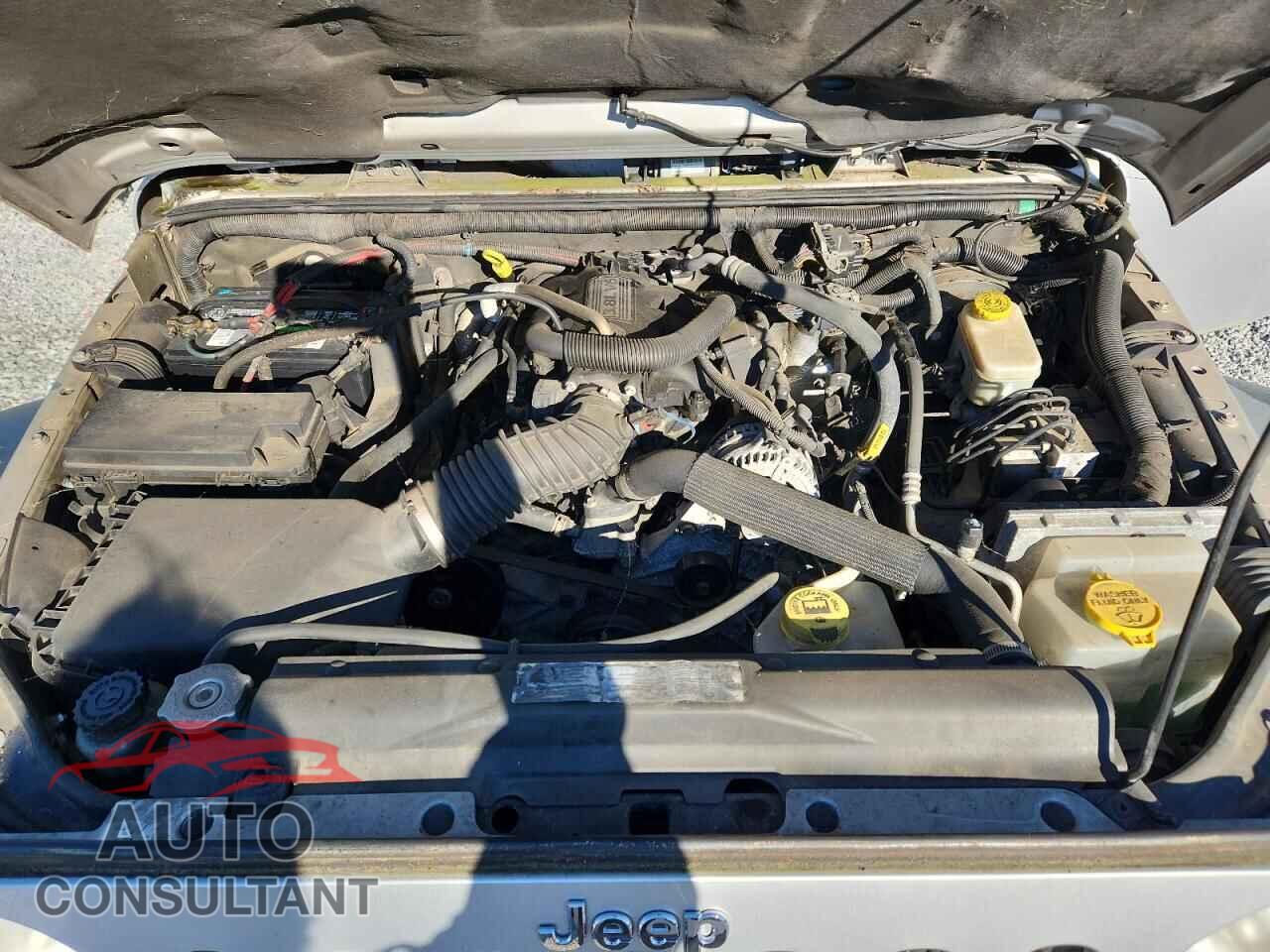 JEEP WRANGLER 2011 - 1J4AA2D13BL541698