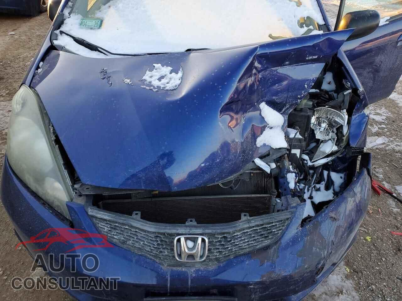 HONDA FIT 2010 - JHMGE8G24AS013473