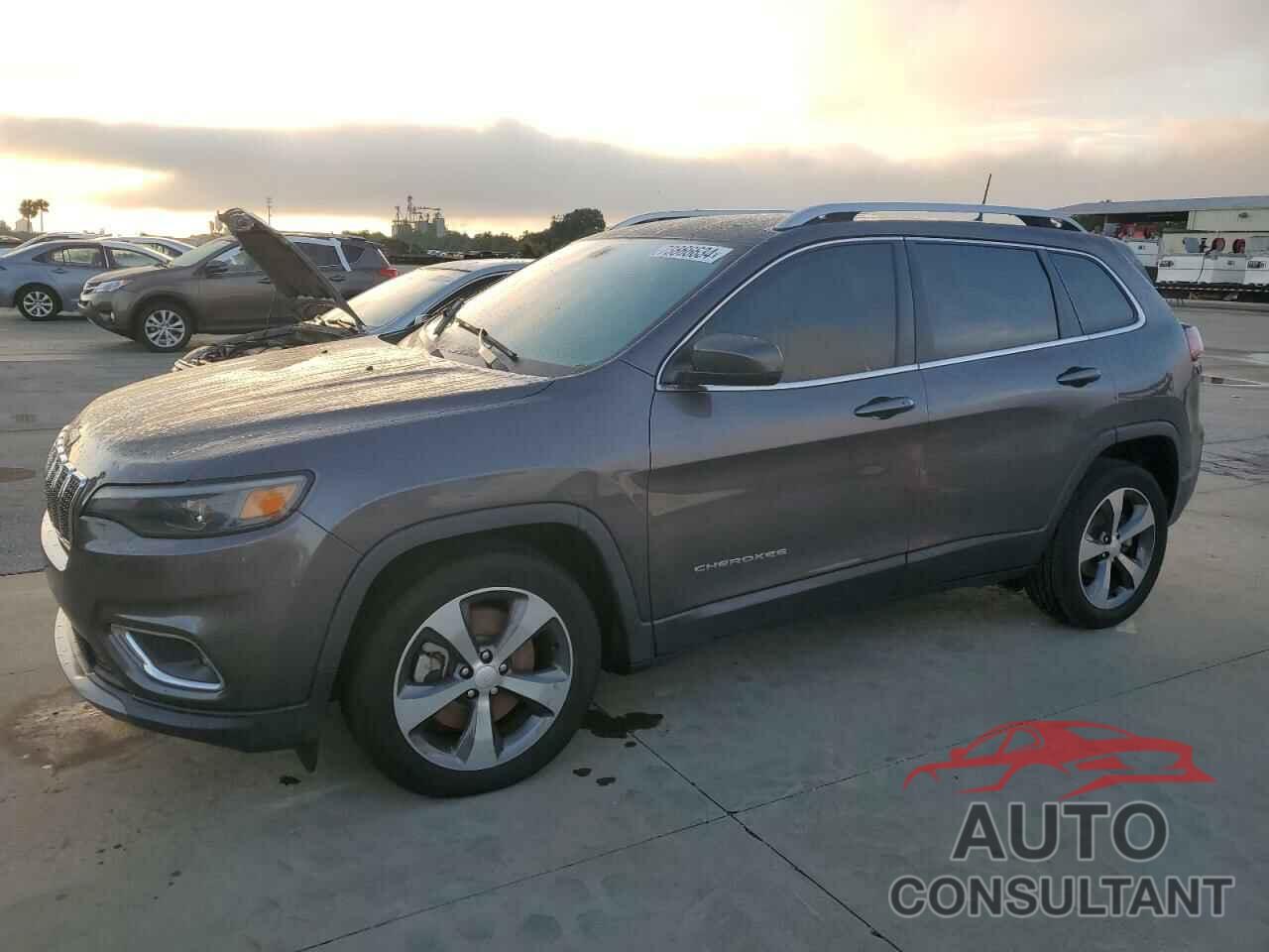 JEEP GRAND CHER 2019 - 1C4PJLDBXKD366178