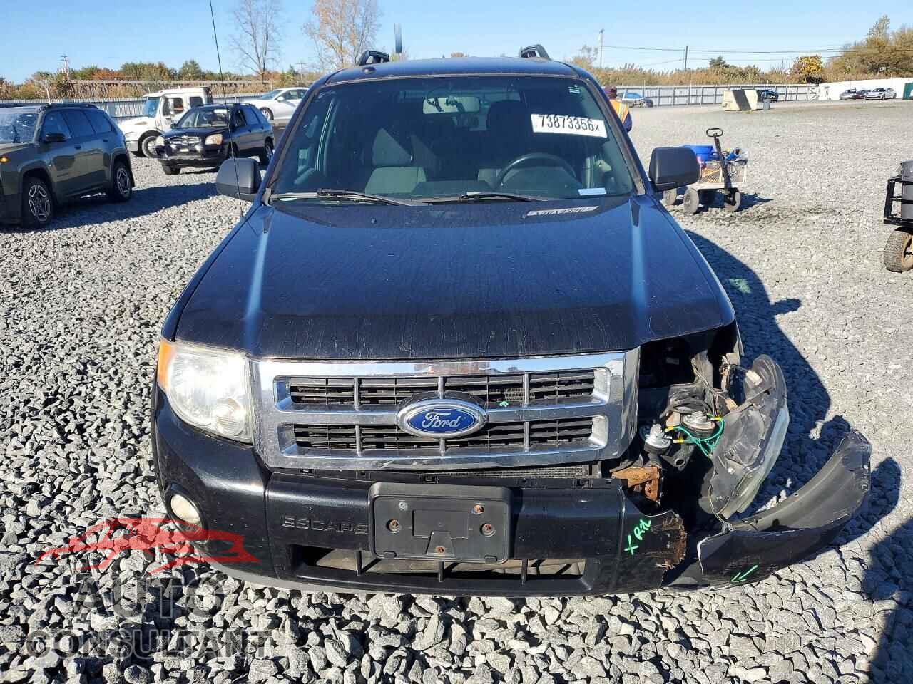 FORD ESCAPE 2011 - 1FMCU9DG1BKA73331