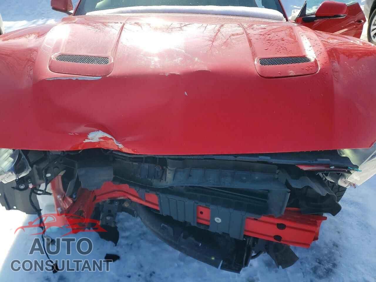 FORD MUSTANG 2019 - 1FA6P8TH0K5103100