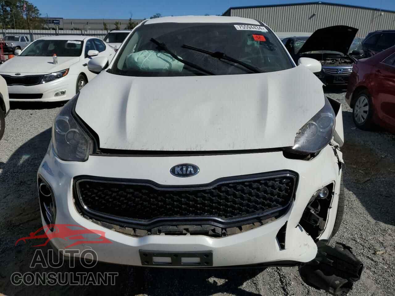 KIA SPORTAGE 2019 - KNDPMCAC2K7491114