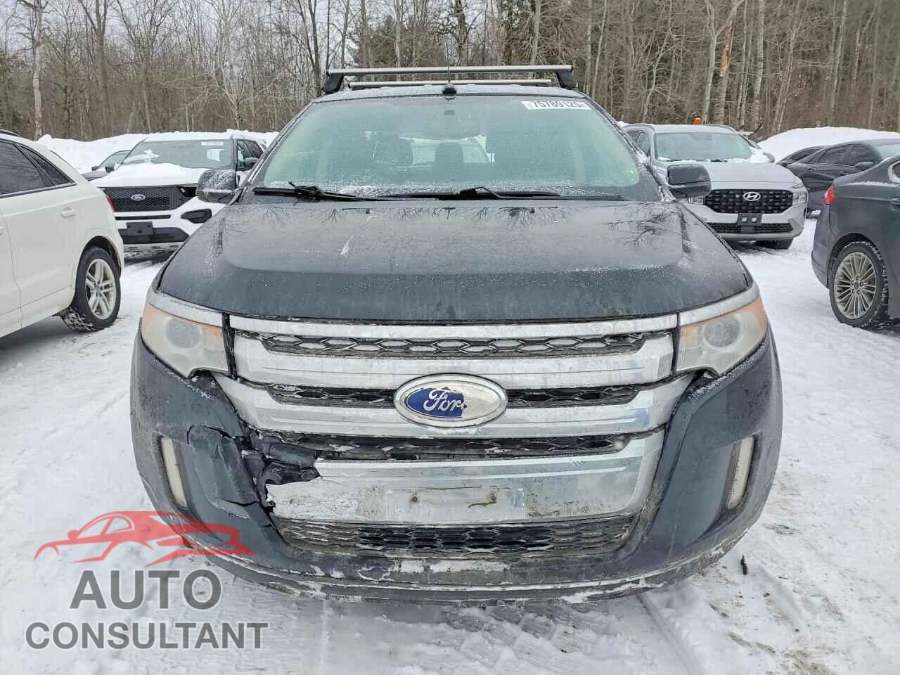 FORD EDGE 2013 - 2FMDK3JCXDBB87835