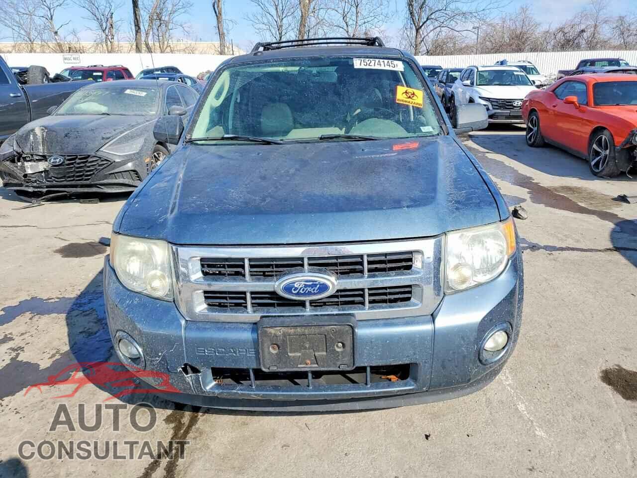 FORD ESCAPE 2010 - 1FMCU0D76AKC88567