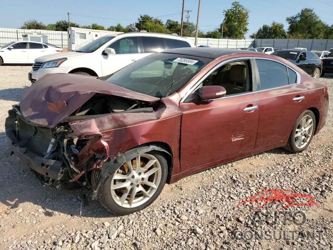 NISSAN MAXIMA 2010 - 1N4AA5AP4AC827516