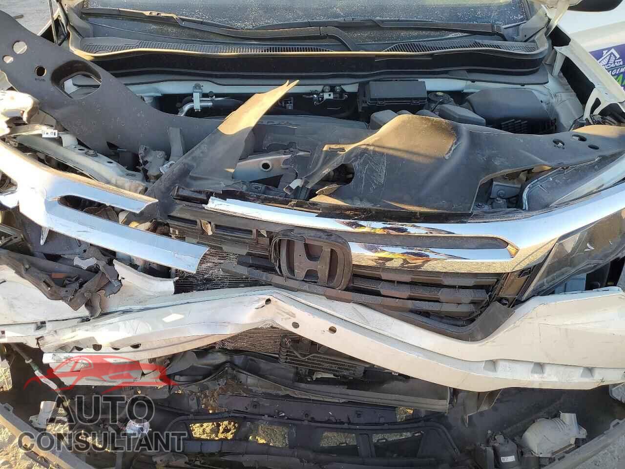 HONDA RIDGELINE 2017 - 5FPYK3F55HB005765