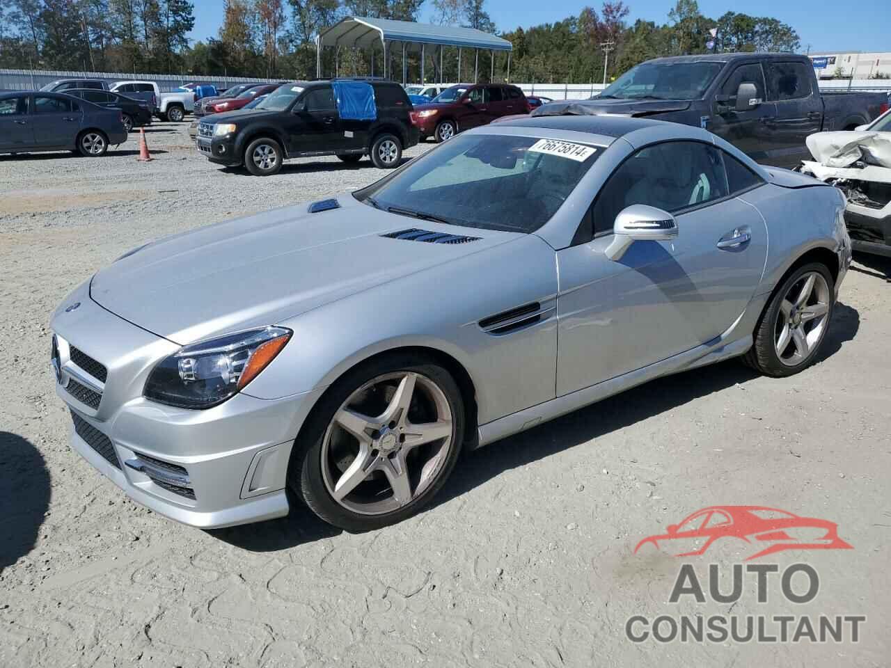 MERCEDES-BENZ SLK-CLASS 2014 - WDDPK4HA9EF081152