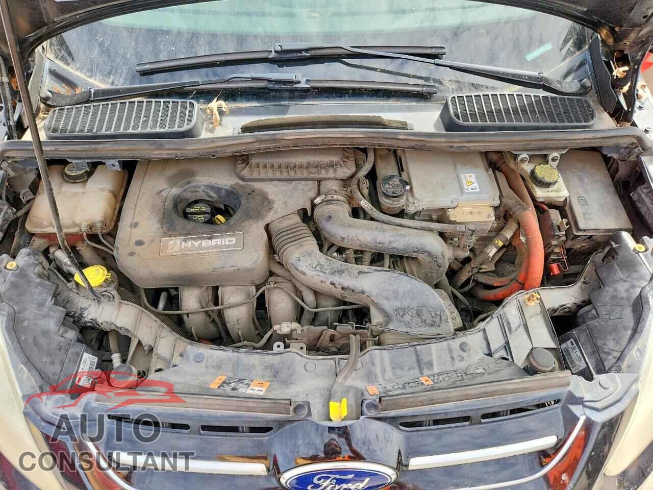 FORD CMAX 2013 - 1FADP5BU7DL542832