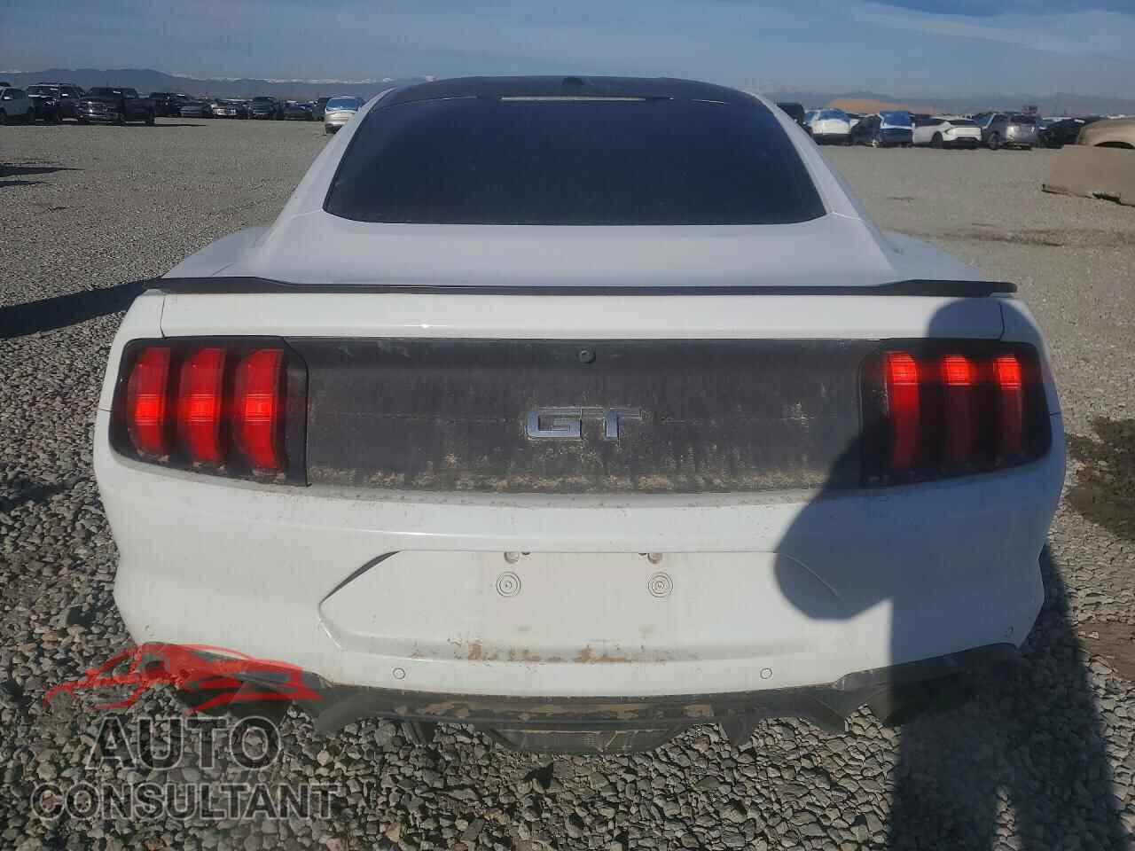 FORD MUSTANG 2019 - 1FA6P8CF2K5151759