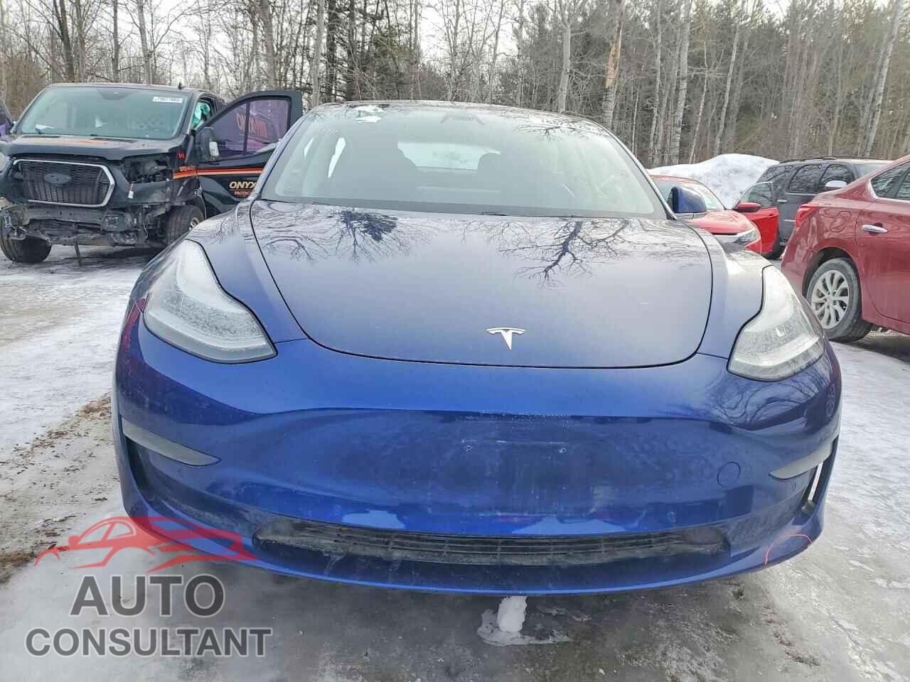 TESLA MODEL 3 2019 - 5YJ3E1EA8KF428702