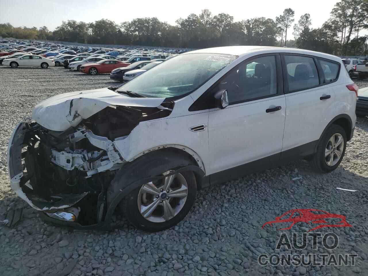 FORD ESCAPE 2016 - 1FMCU0F70GUC39018