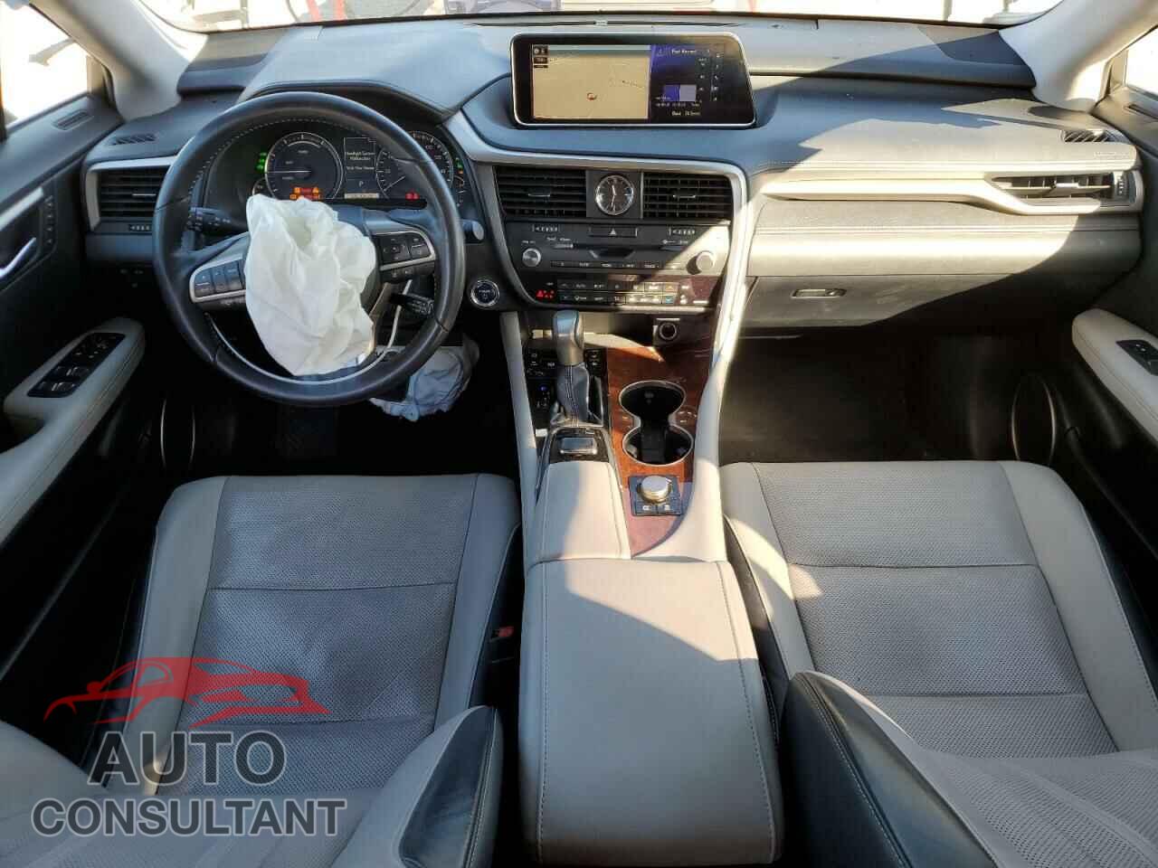 LEXUS RX450 2019 - JTJDGKCA0K2007905