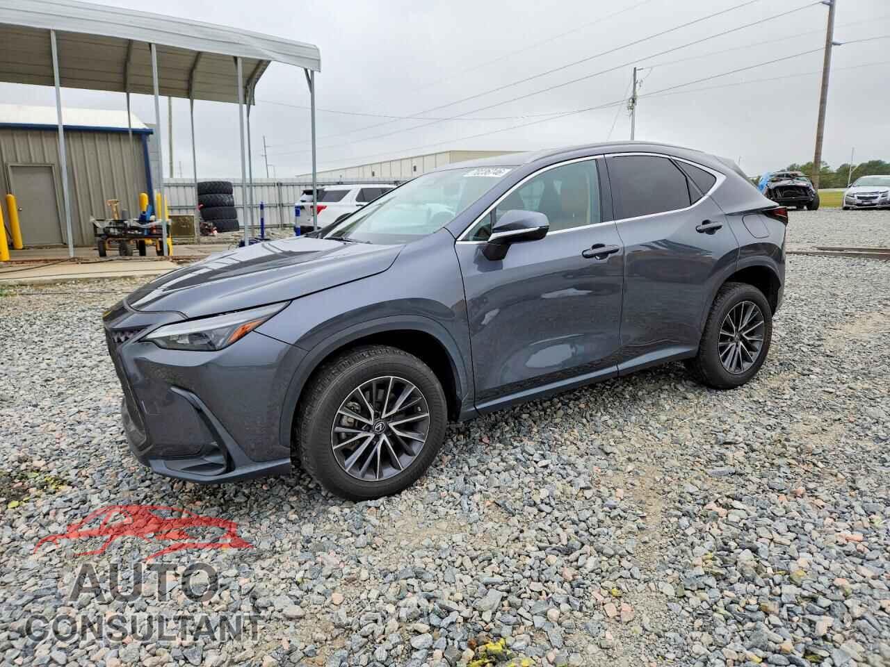 LEXUS NX 2023 - 2T2GDCAZ2PC005066