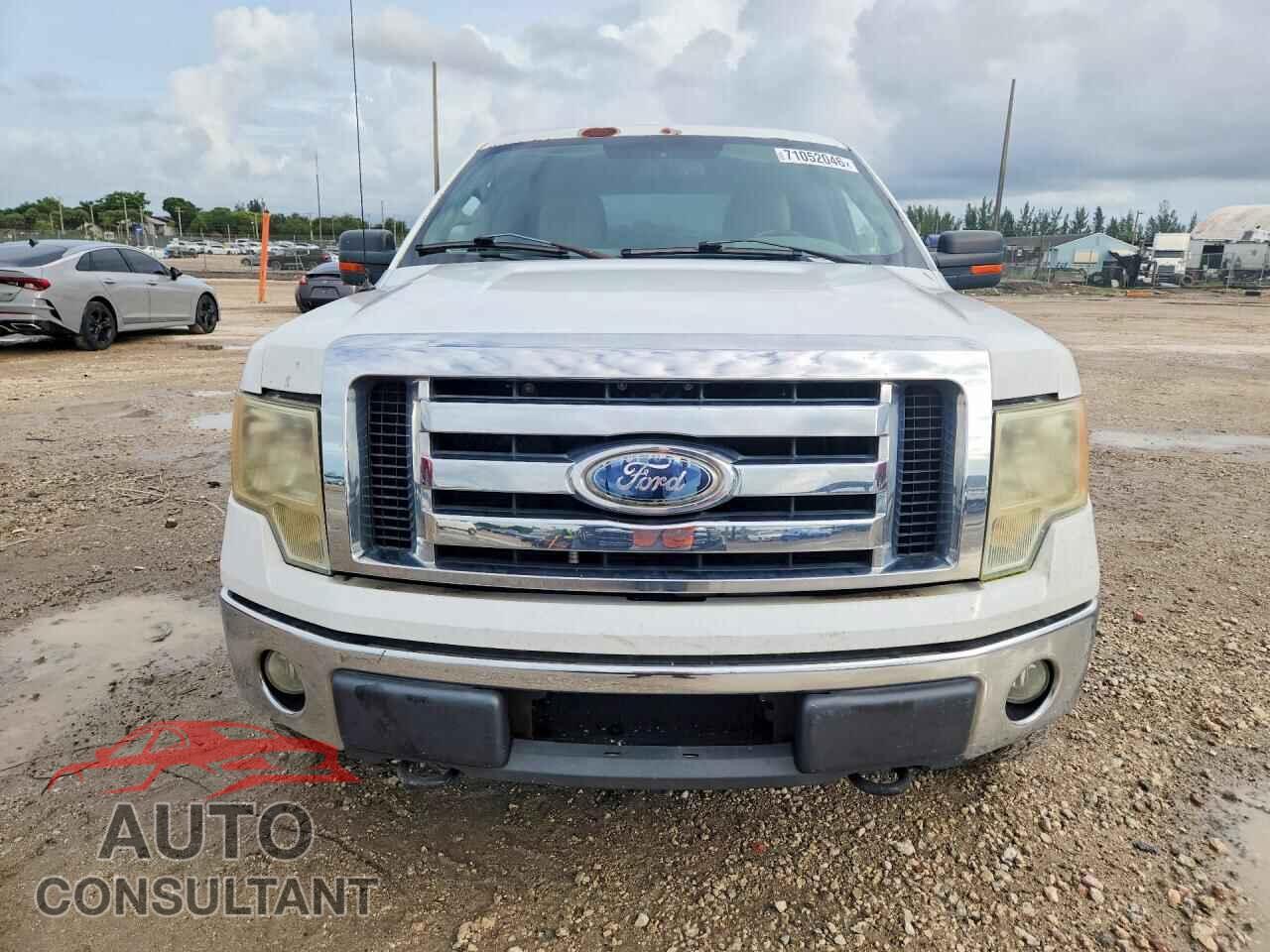 FORD F150 2010 - 1FTFW1EV4AKB25513