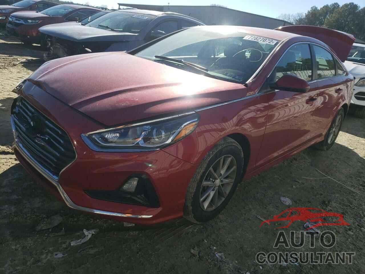 HYUNDAI SONATA 2019 - 5NPE24AFXKH733043