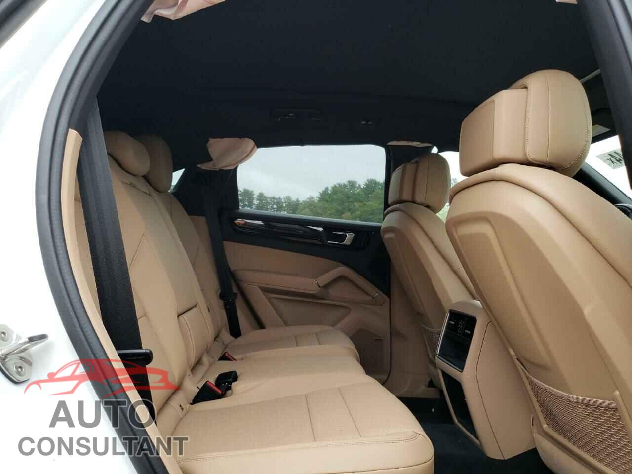 PORSCHE CAYENNE 2020 - WP1AA2AY0LDA06944